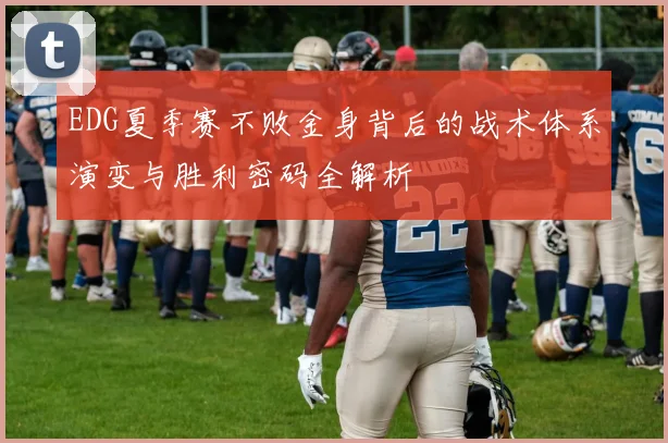 EDG夏季赛不败金身背后的战术体系演变与胜利密码全解析